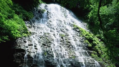 智能节能全自动